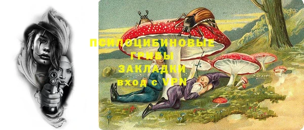 дживик Баксан