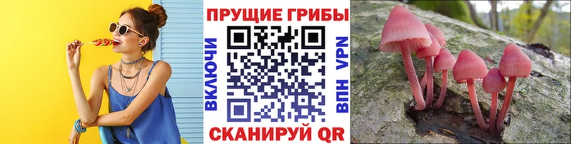цена   Суровикино  MEGA рабочий сайт  Псилоцибиновые грибы прущие грибы 