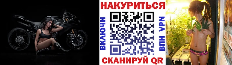 Бошки марихуана сатива  сколько стоит  Суровикино 